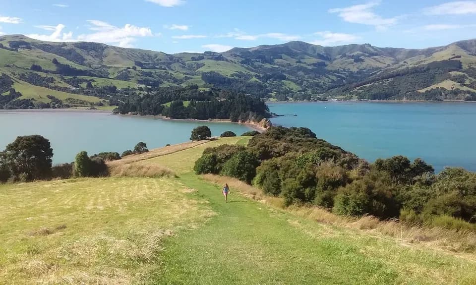 Onawe Peninsula views